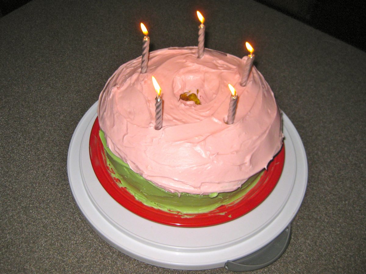 The Birthday Cake – gage hill crafts