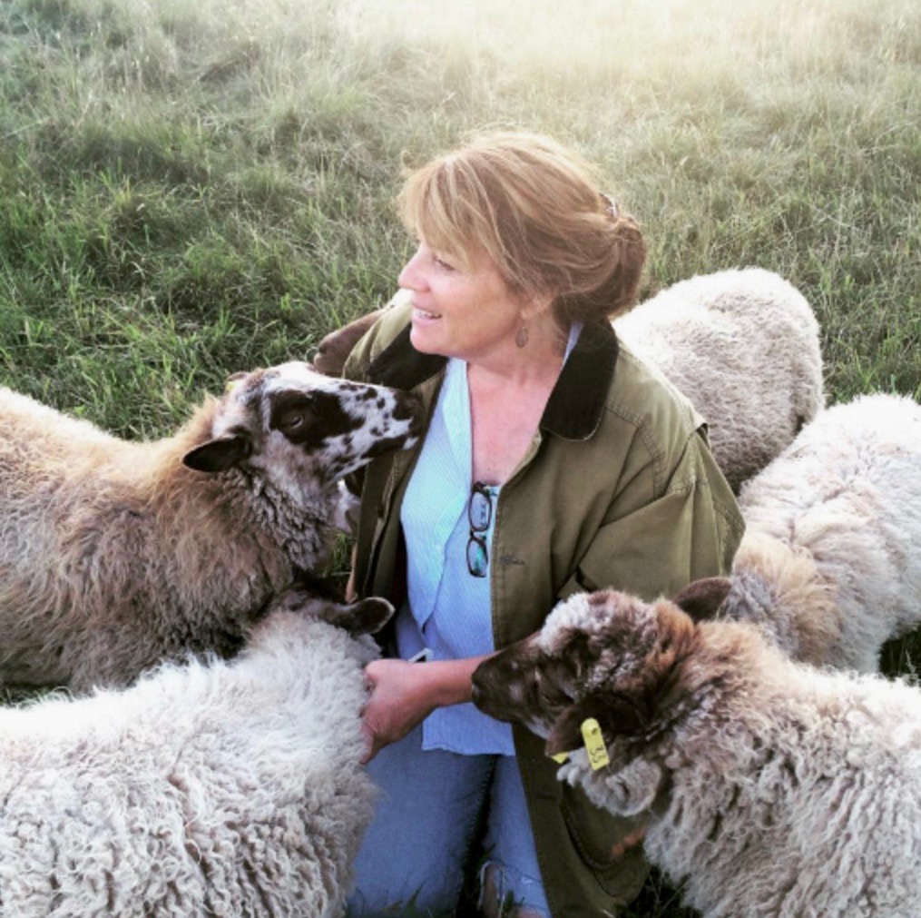 Tammy with sheep