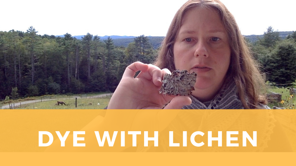 How to Dye Wool with Fresh Lichen