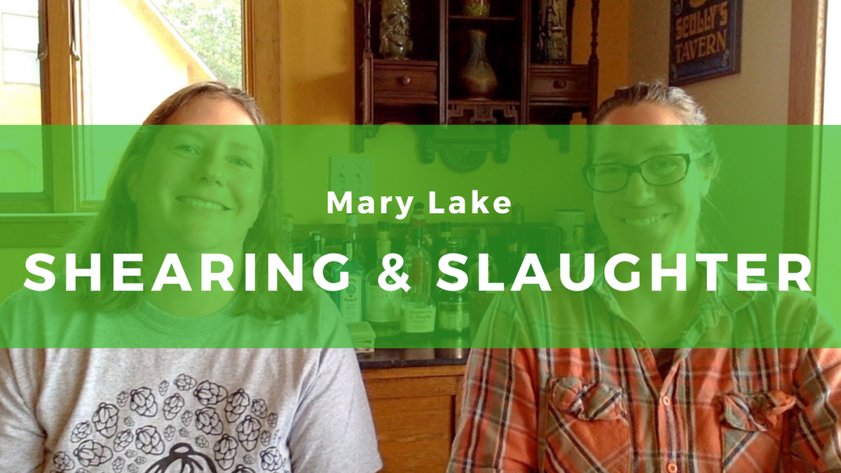 24: Mary Lake – Shepherd, Shearer, Slaughterer