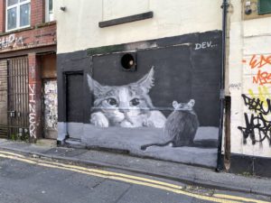 cat mural in Northern Quarter